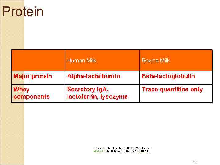 Protein Human Milk Bovine Milk Major protein Alpha-lactalbumin Beta-lactoglobulin Whey components Secretory Ig. A,