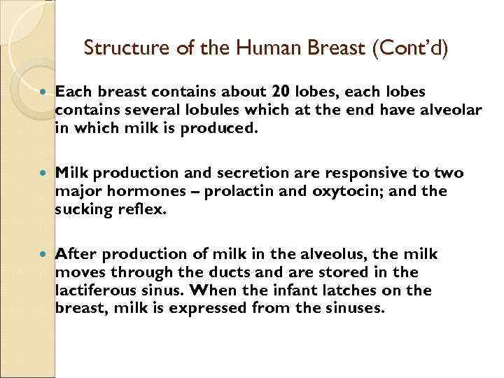 Structure of the Human Breast (Cont’d) Each breast contains about 20 lobes, each lobes