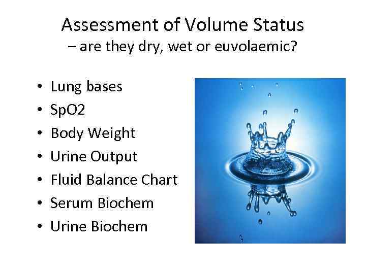 Assessment of Volume Status – are they dry, wet or euvolaemic? • • Lung