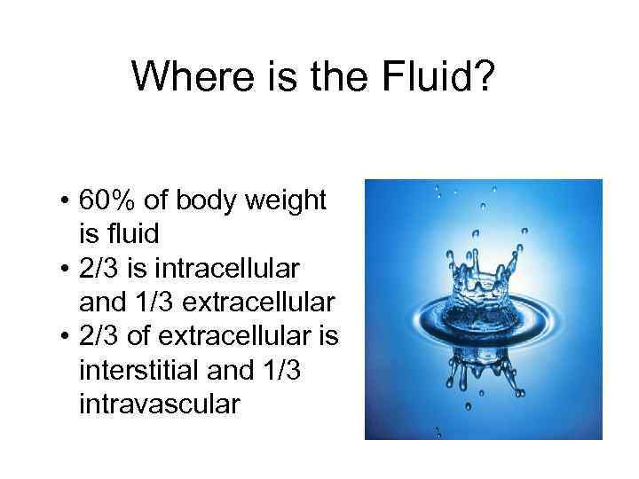 isfv fluid volume