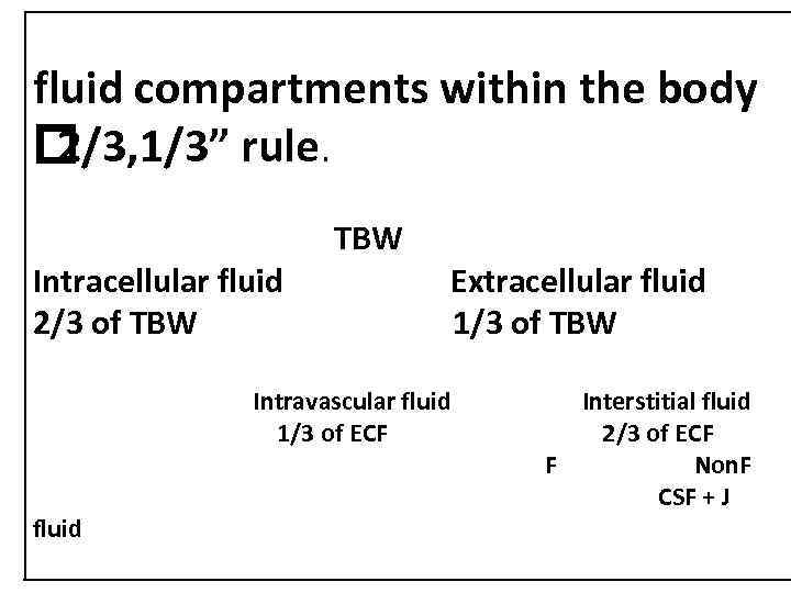 fluid compartments within the body 2/3, 1/3” rule. Intracellular fluid 2/3 of TBW Extracellular