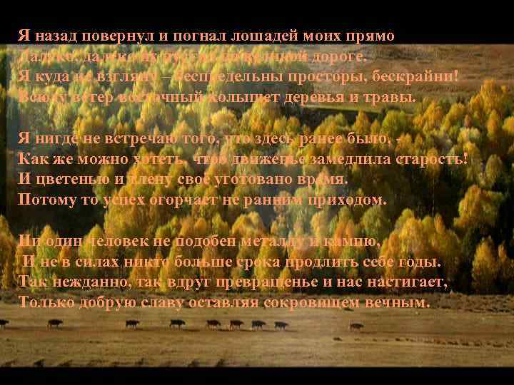 Я назад повернул и погнал лошадей моих прямо Далеко, далеко их пустил по великой