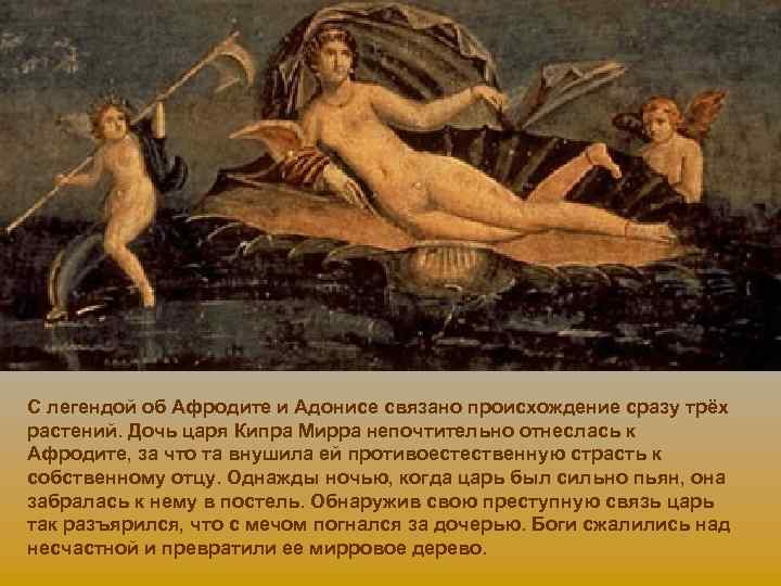 С легендой об Афродите и Адонисе связано происхождение сразу трёх растений. Дочь царя Кипра
