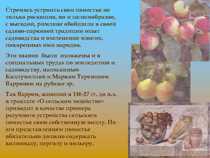 Стремясь устроить свои поместья не только роскошно, но и целесообразно, с выгодой, римляне обобщили