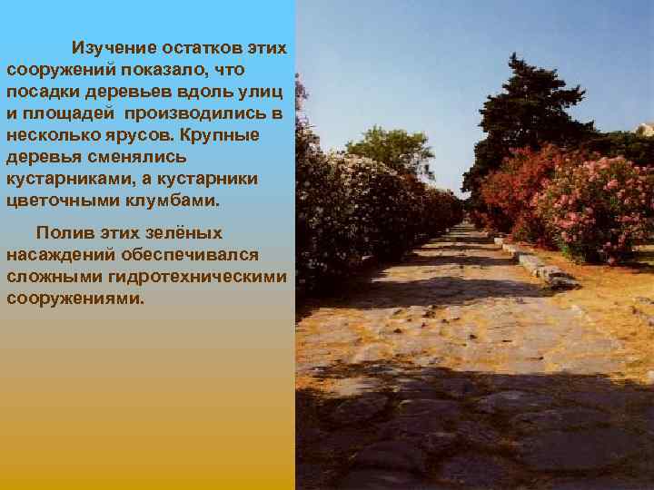 Изучение остатков этих сооружений показало, что посадки деревьев вдоль улиц и площадей производились в