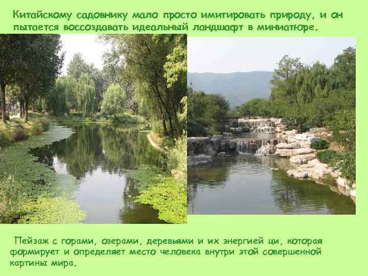 Китайскому садовнику мало просто имитировать природу, и он пытается воссоздавать идеальный ландшафт в миниатюре.