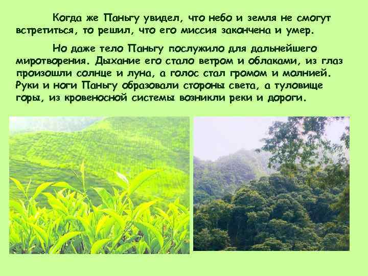 Когда же Паньгу увидел, что небо и земля не смогут встретиться, то решил, что