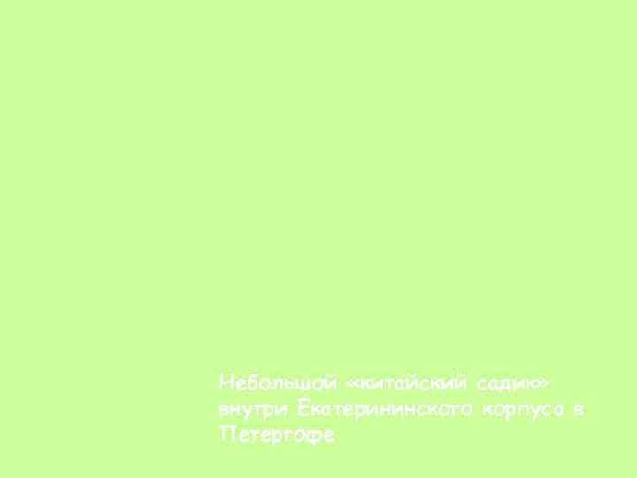 Небольшой «китайский садик» внутри Екатерининского корпуса в Петергофе 