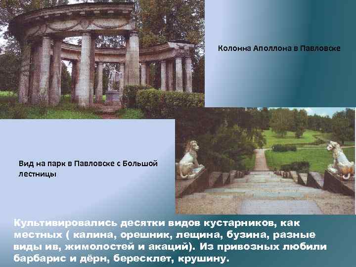 Колонна Аполлона в Павловске Вид на парк в Павловске с Большой лестницы Культивировались десятки