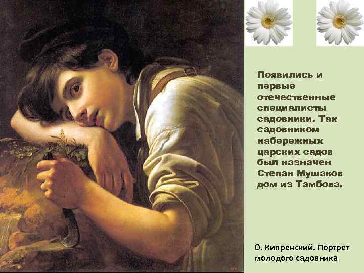 Старший садовник читать