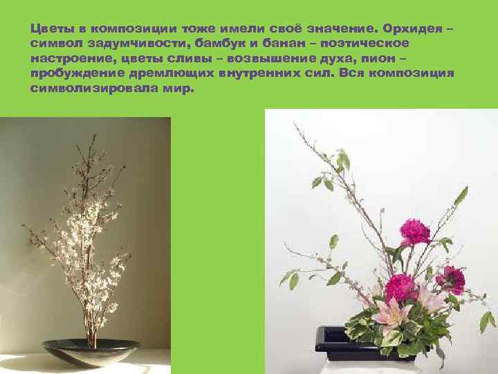 Цветы в композиции тоже имели своё значение. Орхидея – символ задумчивости, бамбук и банан