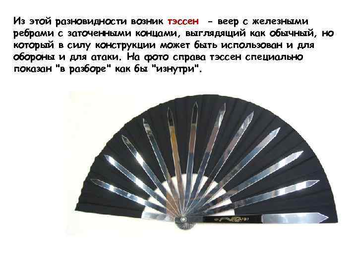 Из этой разновидности возник тэссен - веер с железными ребрами с заточенными концами, выглядящий