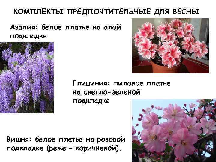 КОМПЛЕКТЫ ПРЕДПОЧТИТЕЛЬНЫЕ ДЛЯ ВЕСНЫ Азалия: белое платье на алой подкладке Глициния: лиловое платье на