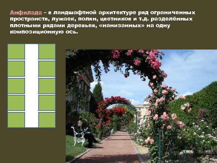 Анфилада – в ландшафтной архитектуре ряд ограниченных пространств, лужаек, полян, цветников и т. д.