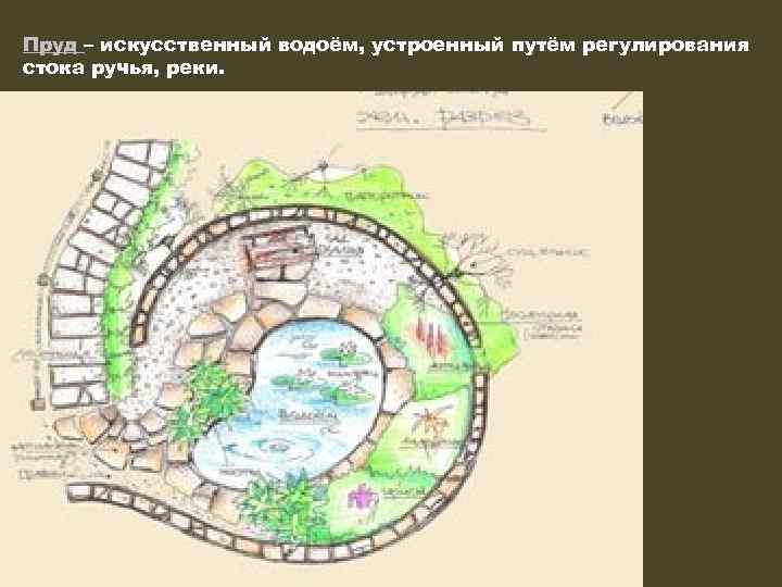 Пруд – искусственный водоём, устроенный путём регулирования стока ручья, реки. 