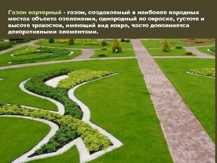 Газон партерный - газон, создаваемый в наиболее парадных местах объекта озеленения, однородный по окраске,