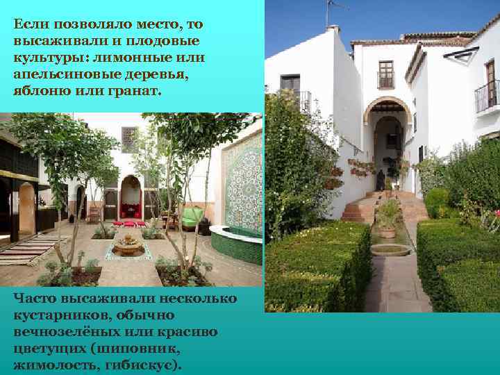 Если позволяло место, то высаживали и плодовые культуры: лимонные или апельсиновые деревья, яблоню или