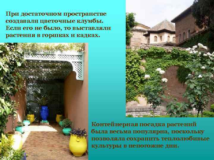 При достаточном пространстве создавали цветочные клумбы. Если его не было, то выставляли растения в