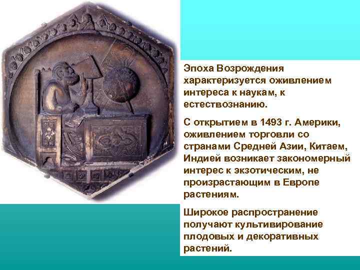 Эпоха Возрождения характеризуется оживлением интереса к наукам, к естествознанию. С открытием в 1493 г.