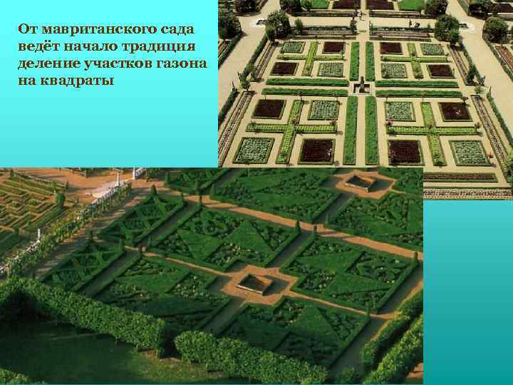 От мавританского сада ведёт начало традиция деление участков газона на квадраты 