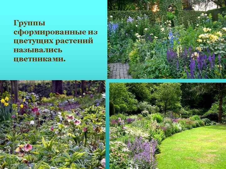 Группы сформированные из цветущих растений назывались цветниками. 