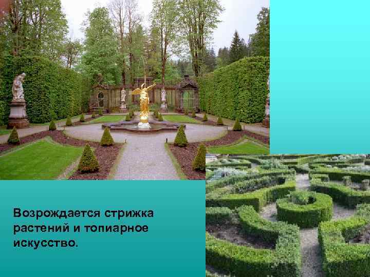 Возрождается стрижка растений и топиарное искусство. 