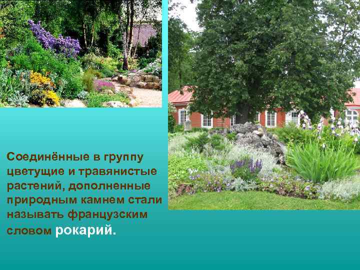 Соединённые в группу цветущие и травянистые растений, дополненные природным камнем стали называть французским словом