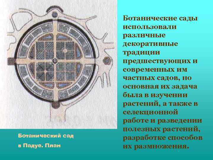 Проект ботаника. Ботанический сад в Падуе план. Падуанский сад план. Ботанический сад Падуи планировка. Схема ботанического сада в Падуе ,.