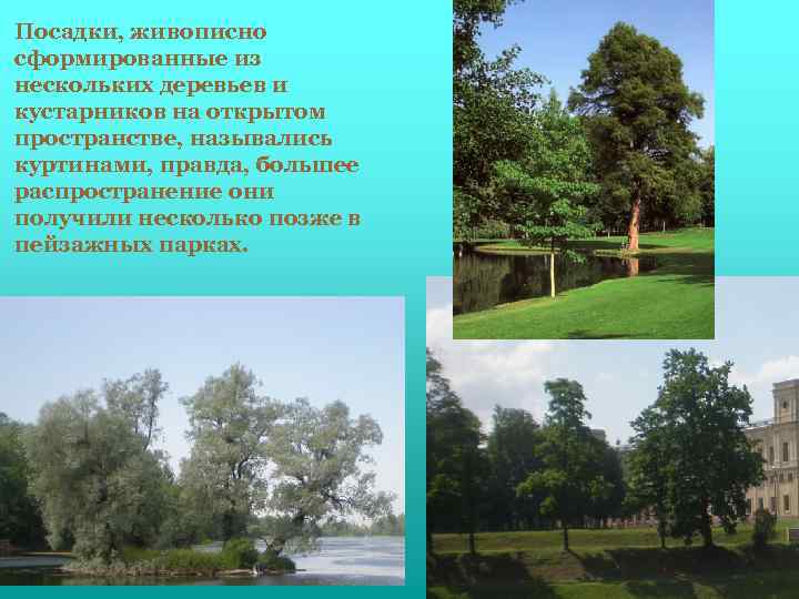 Посадки, живописно сформированные из нескольких деревьев и кустарников на открытом пространстве, назывались куртинами, правда,