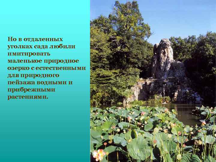 Но в отдаленных уголках сада любили имитировать маленькое природное озерко с естественными для природного
