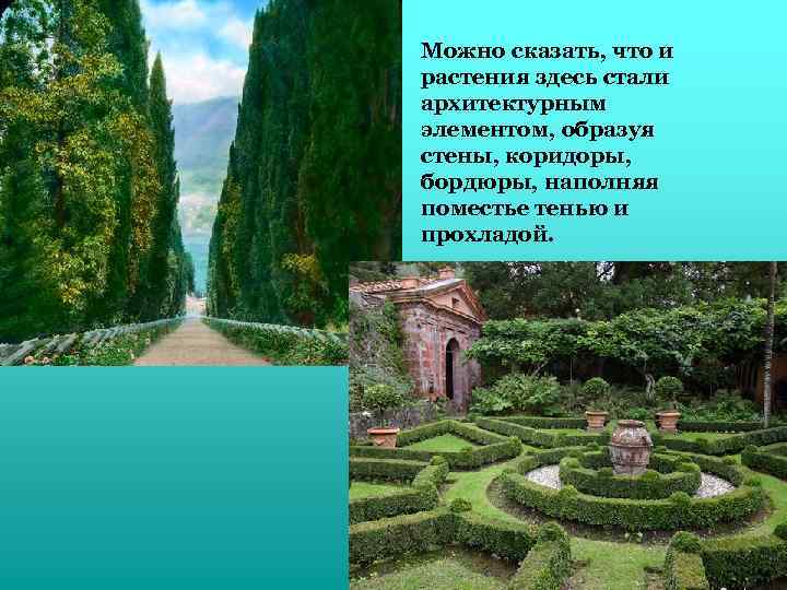Можно сказать, что и растения здесь стали архитектурным элементом, образуя стены, коридоры, бордюры, наполняя