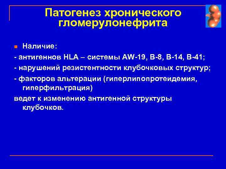 Патогенез хронического гломерулонефрита Наличие: - антигеннов HLA – системы AW-19, B-8, B-14, B-41; -