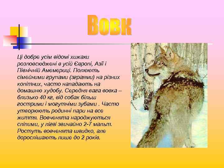 Ці добре усім відомі хижаки розповсюджені в усій Європі, Азії і Північній Амемериці. Полюють