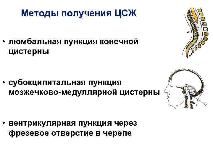 Протокол люмбальной пункции образец