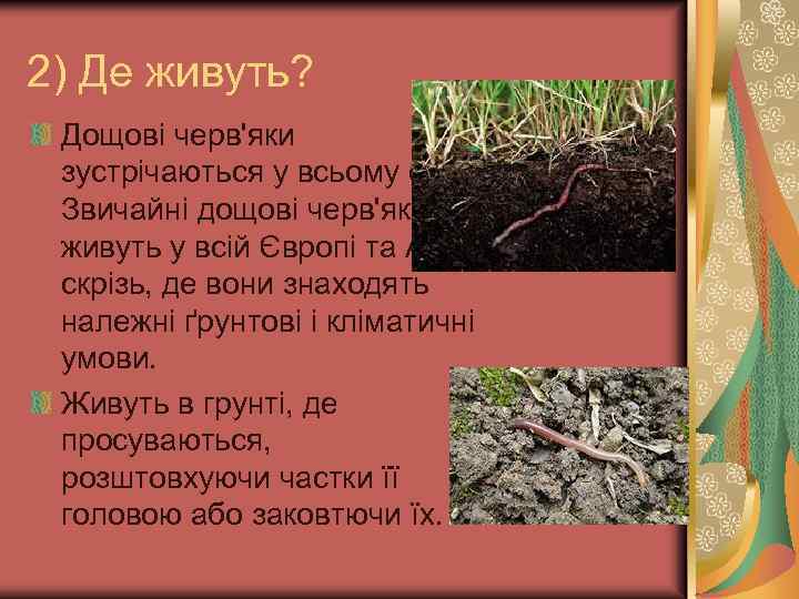 2) Де живуть? Дощові черв'яки зустрічаються у всьому світі. Звичайні дощові черв'яки живуть у