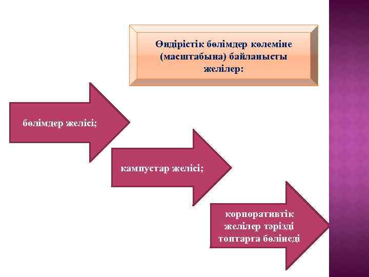 Өндірістік бөлімдер көлеміне (масштабына) байланысты желілер: бөлімдер желісі; кампустар желісі; корпоративтік желілер тәрізді топтарға