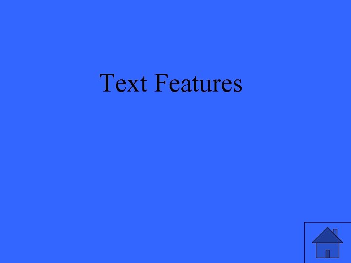 Text Features 