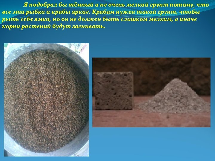 Я подобрал бы тёмный и не очень мелкий грунт потому, что все эти рыбки