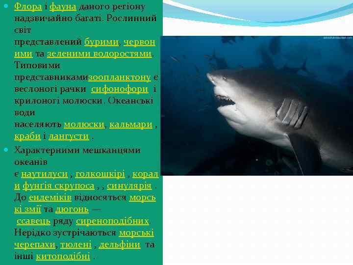  Флора і фауна даного регіону надзвичайно багаті. Рослинний світ представлений бурими, червон ими