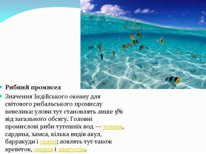 Рибний промисел Значення Індійського океану для світового рибальського промислу невелика: улови тут становлять