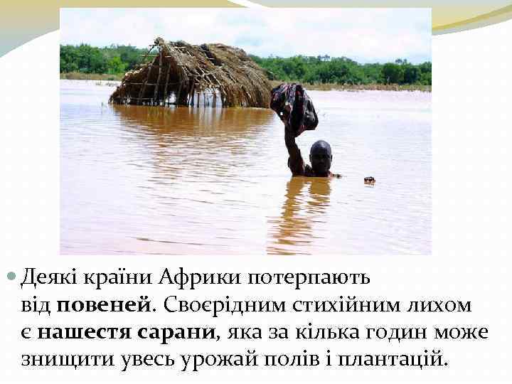  Деякі країни Африки потерпають від повеней. Своєрідним стихійним лихом є нашестя сарани, яка