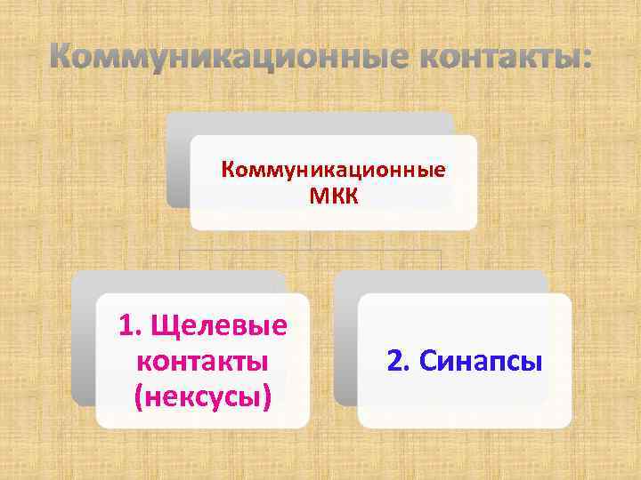 Тема доклада Взаимодействие клеток 1 Взаимодействие клеток 2