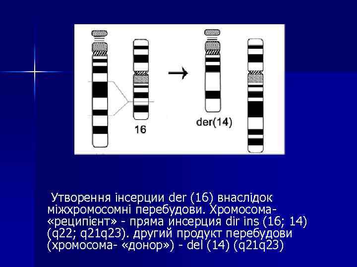  Утворення інсерции der (16) внаслідок міжхромосомні перебудови. Хромосома- «реципієнт» - пряма инсерция dir