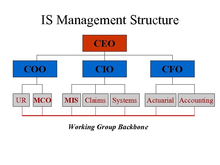 IS Management Structure CEO COO UR MCO CIO MIS Claims Systems CFO Actuarial Accounting