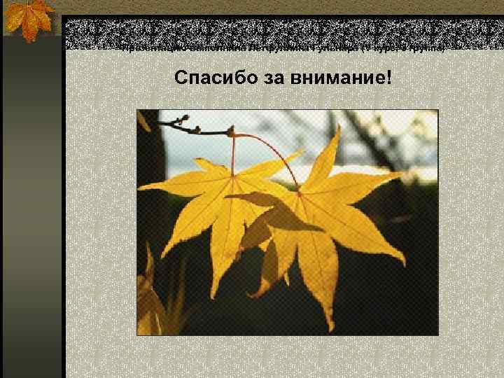 Презентацию выполнила Летфуллина Гульнара (V курс, 3 группа) Спасибо за внимание! 