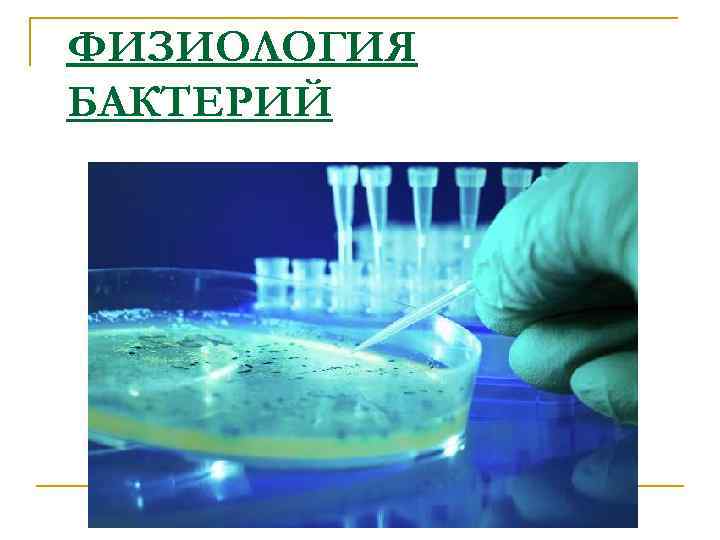 ФИЗИОЛОГИЯ БАКТЕРИЙ 