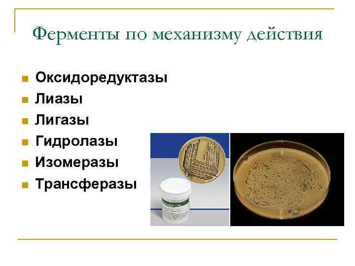 Ферменты по механизму действия n n n Оксидоредуктазы Лигазы Гидролазы Изомеразы Трансферазы 