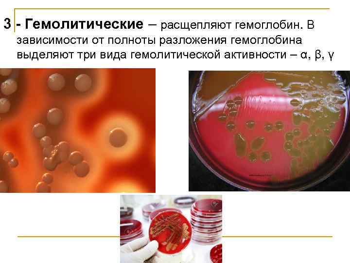 3 - Гемолитические – расщепляют гемоглобин. В зависимости от полноты разложения гемоглобина выделяют три