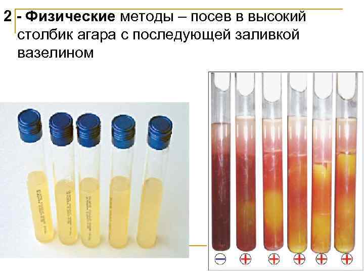 2 - Физические методы – посев в высокий столбик агара с последующей заливкой вазелином