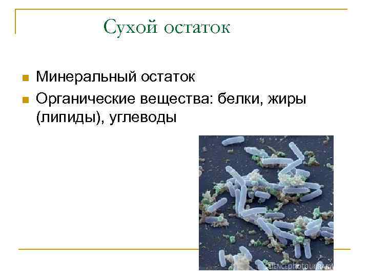 Сухой остаток n n Минеральный остаток Органические вещества: белки, жиры (липиды), углеводы 